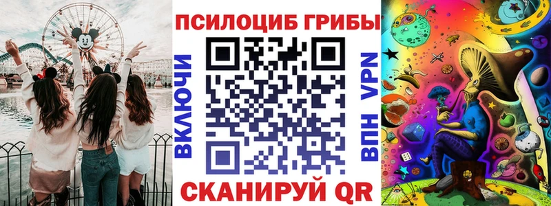Псилоцибиновые грибы Psilocybe  Дмитровск 