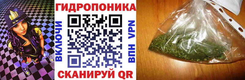 Каннабис сатива  Дмитровск 